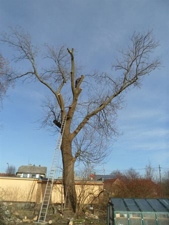 Realizace dřevostavby